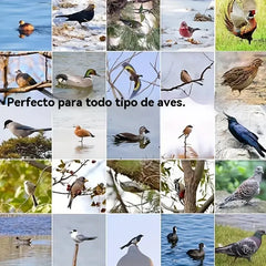 🔥【4 piezas】🐓🐦Trampa de resorte para exteriores, trampa de bloqueo automático de alta sensibilidad