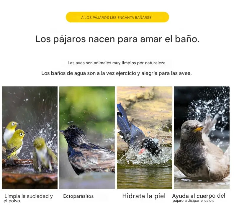 🔥🐦Bañera para pájaros, accesorios para jaulas de pájaros