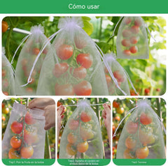 🔥【50 piezas（24*38cm）】Red de insectos para moscas de frutas, red de protección de árboles de paisaje para pájaros, bolsas de red de jardín para proteger flores, plantas, frutas, verduras