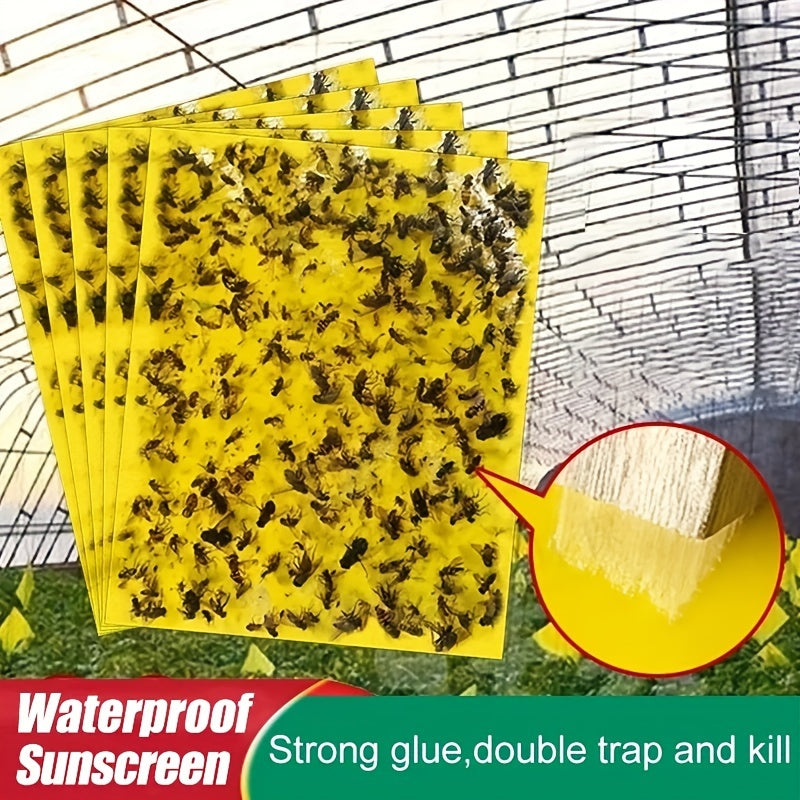 🔥【30 pcs】【Oferta por tiempo limitado】💥Tablero adhesivo de insectos de doble cara amarillo