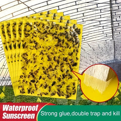 🔥【30 pcs】【Oferta por tiempo limitado】💥Tablero adhesivo de insectos de doble cara amarillo