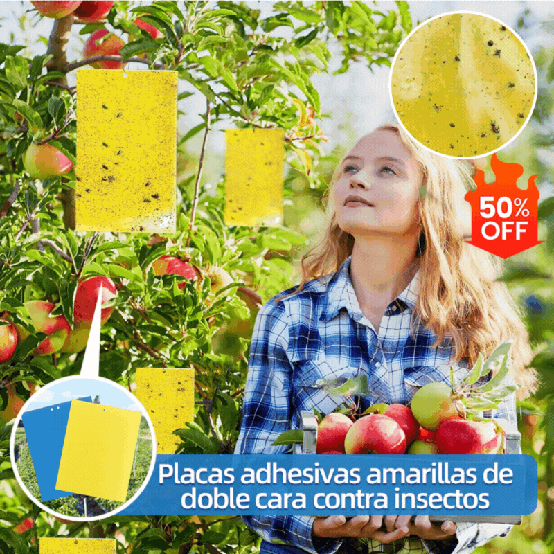 🔥🔥【50% de descuento】30 piezas 23 euros【Oferta por tiempo limitado】💥Tablero adhesivo de insectos de doble cara amarillo