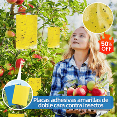 🔥🔥【50% de descuento】30 piezas 23 euros【Oferta por tiempo limitado】💥Tablero adhesivo de insectos de doble cara amarillo