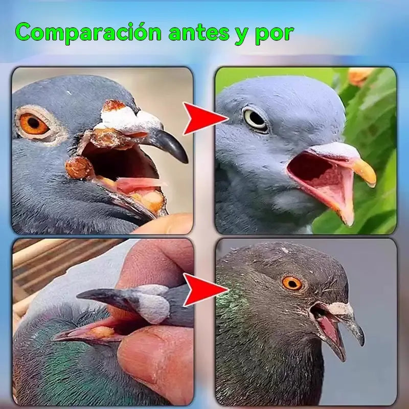🔥50%OFF【✨Compra 1 y llévate 1 gratis】2 juegos por 25 euros🔥🕊️🕊️100 comprimidos, medicamento especial para palomas mensajeras, tratamiento 6 en 1 para palomas: ¡curación rápida, resultados significativos!