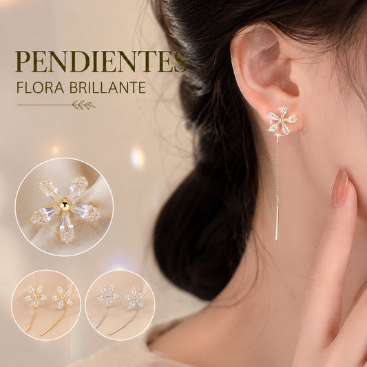 【Compra 1 y llévate 1 gratis】Elegantes pendientes colgantes con borlas a la moda
