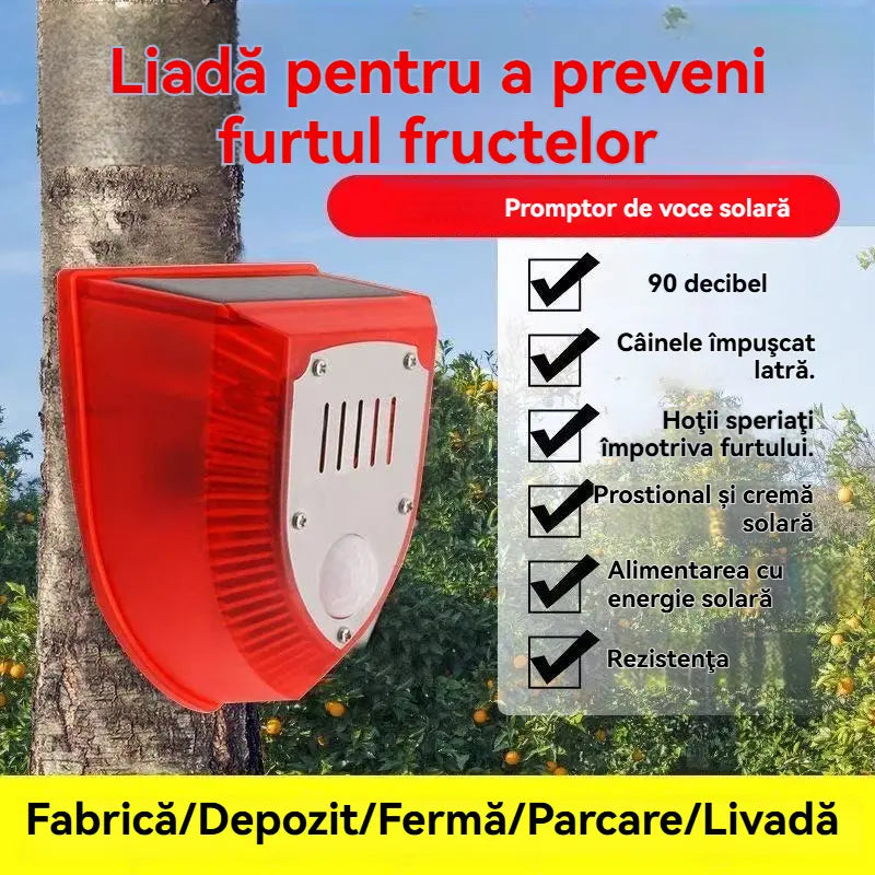 👏👏【✨Kupite eno, dobite eno brezplačno】Solarna varnostna alarmna lučka