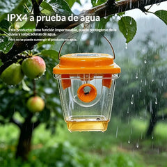 🐝☀️ Trampa solar para avispas para la terraza y el jardín 🔋🌿 - eficaz, recargable y resistente a la intemperie - sin productos químicos, hasta 500 m² - ¡ahorra ahora!