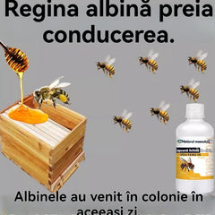 【✨Compre 1 y obtenga 1 gratis】🐝✨ Atrayente Natural para Abejas de Alta Eficacia – Spray Vegetal con Aroma a Miel para Fortalecer Colmenas