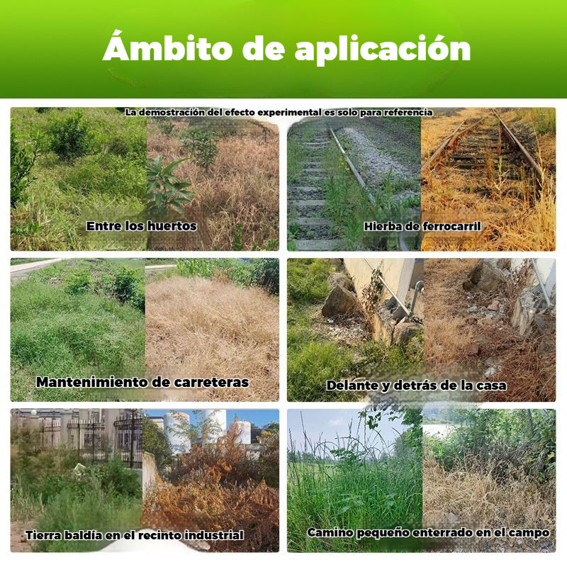 【5 bolsa】🔥 Herbicida 2 en 1 Alta Eficacia | Actúa en 6 Horas Elimina Malas Hierbas Resistentes al Glifosato