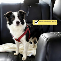 🔥Compre 1 y obtenga 1 gratis（2 piezas）🐾 Correa ajustable para perros para coche