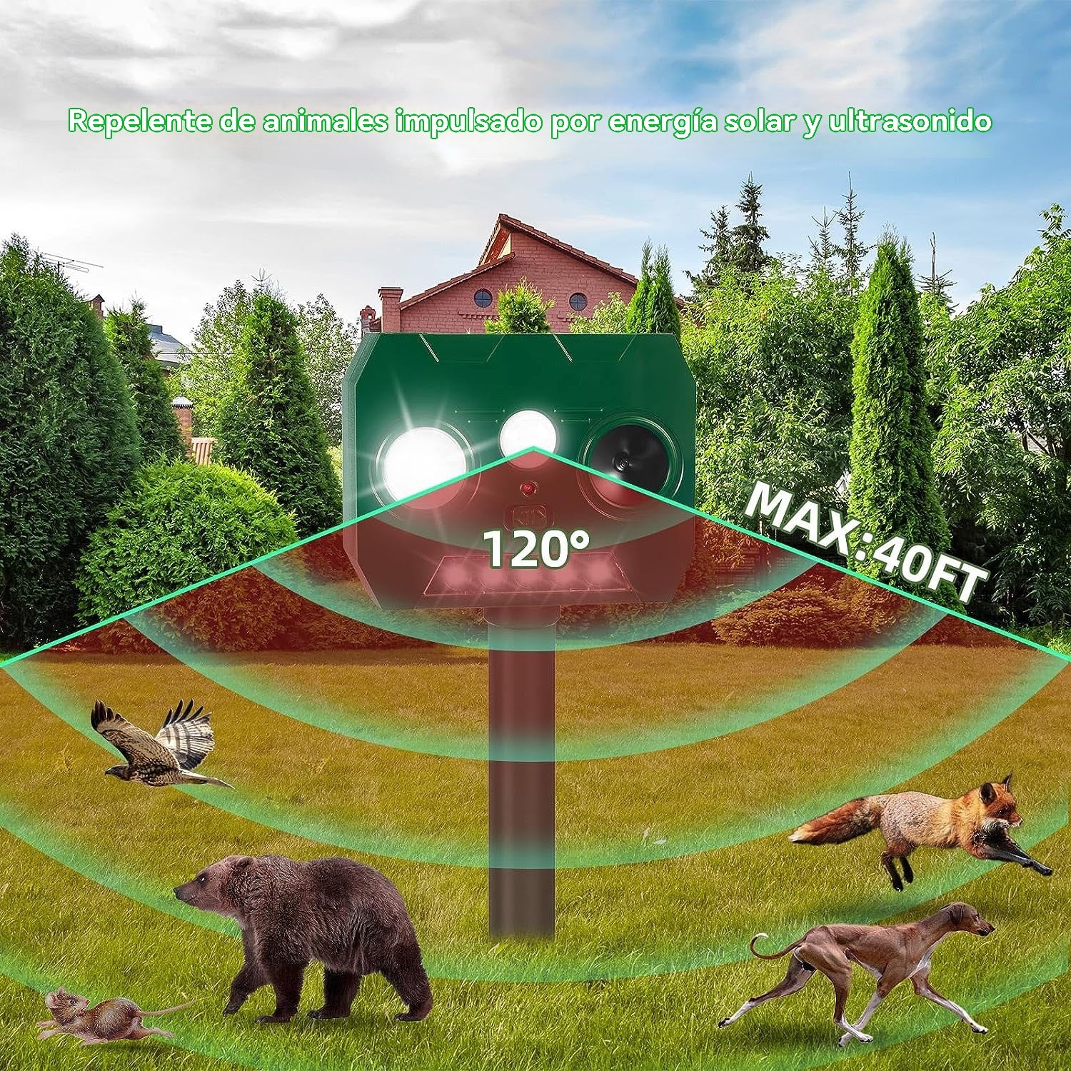 🔥Oferta especial🔥Repelente ultrasónico de aves para exteriores con energía solar, dos bocinas y luces intermitentes