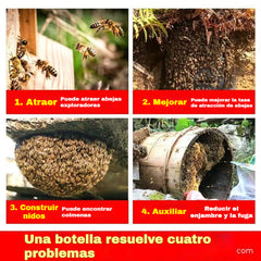 🔥🐝 Ungüento atrayente para abejas: ¡fórmula natural, rápida efectividad! ¡La solución rápida para atraer enjambres a la colmena!