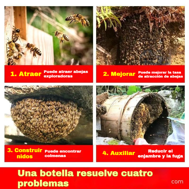 🔥【1 botella 260g】🐝 Ungüento atrayente para abejas: ¡fórmula natural, rápida efectividad! ¡La solución rápida para atraer enjambres a la colmena!