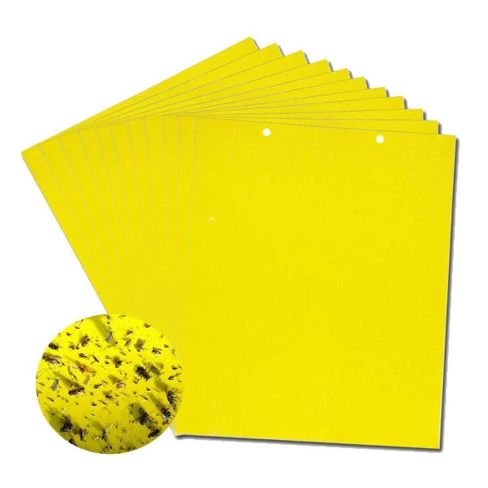 🔥【30 pcs】【Oferta por tiempo limitado】💥Tablero adhesivo de insectos de doble cara amarillo