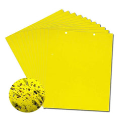🔥【30 pcs】【Oferta por tiempo limitado】💥Tablero adhesivo de insectos de doble cara amarillo