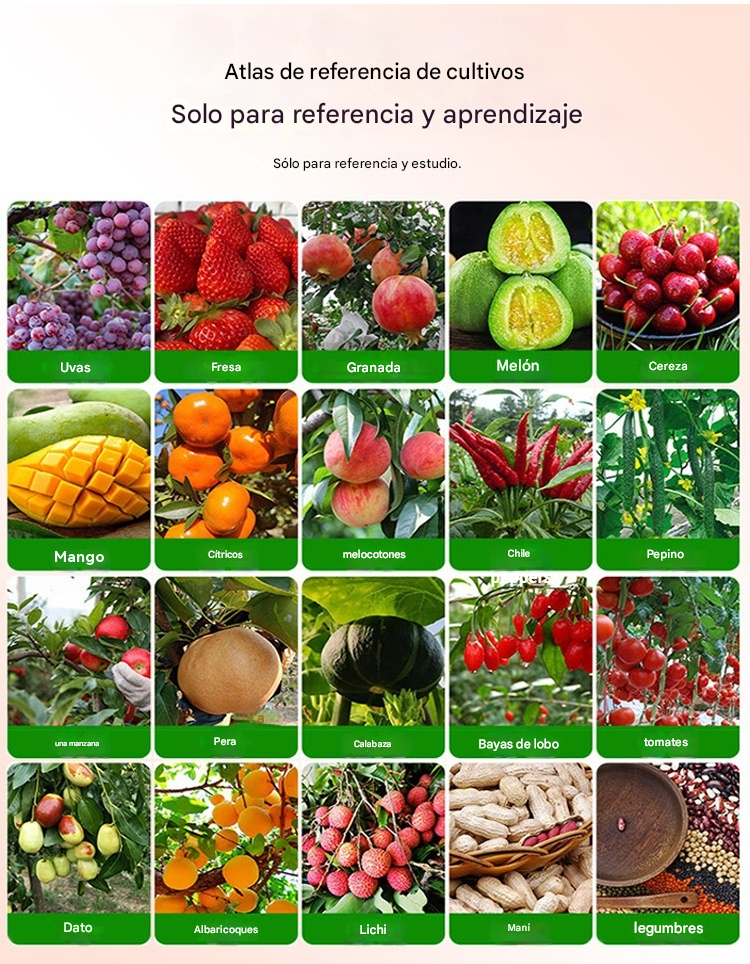 🍊🍎🍏 El polvo de enraizamiento es un agente de enraizamiento adecuado para árboles, flores, plántulas y esquejes.