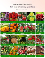 🍊🍎🍏 El polvo de enraizamiento es un agente de enraizamiento adecuado para árboles, flores, plántulas y esquejes.