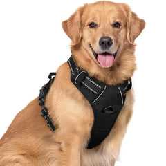 🦮Correa antitirones para perros