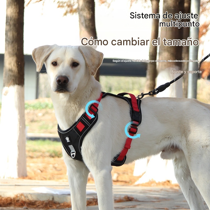 🐕🚶‍♂️Correa ajustable | Mayor comodidad al caminar