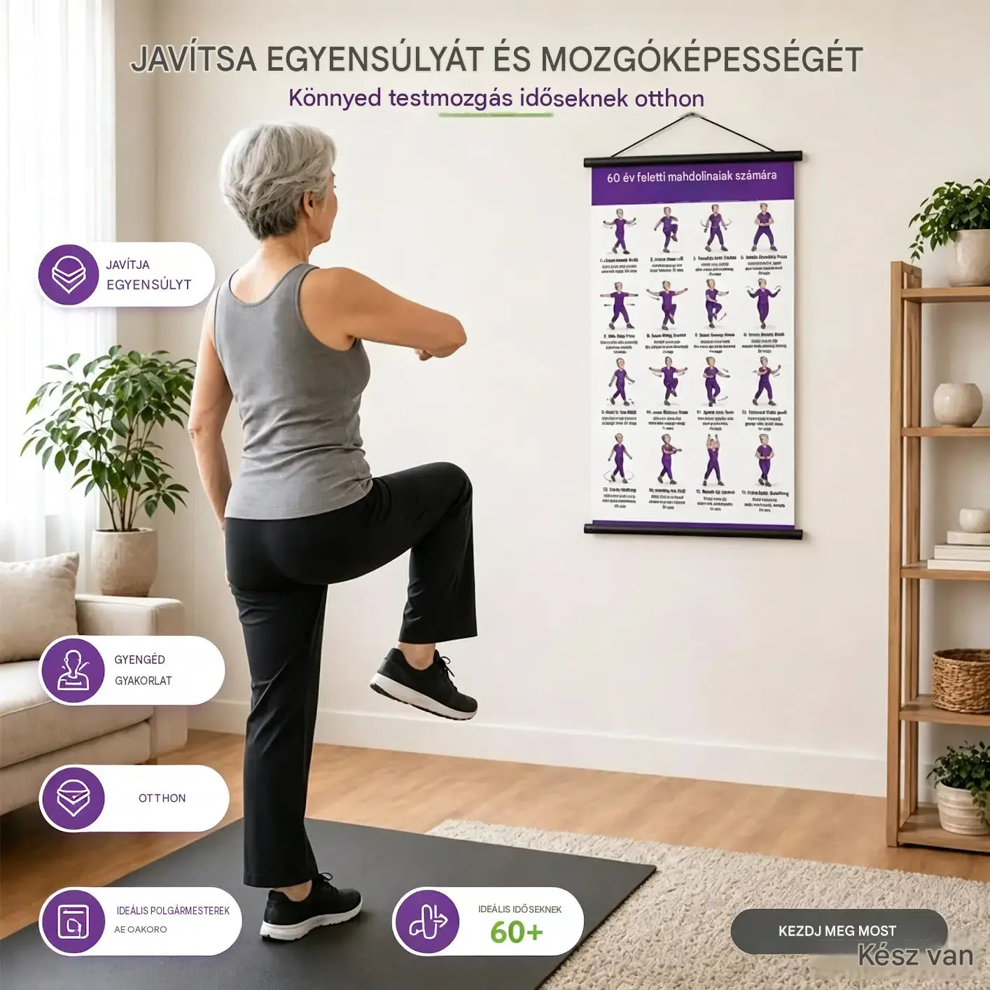 Tai Chi gyakorlat poszter időseknek