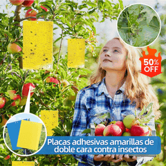 🔥【30 pcs】【Oferta por tiempo limitado】💥Tablero adhesivo de insectos de doble cara amarillo