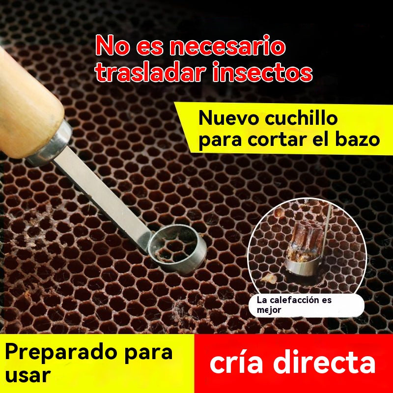 【Compra 1, llévate 1 gratis-2 piezas 22 euros】🔥Nueva herramienta para la cría de reinas: Corte completo sin dañar las larvas.