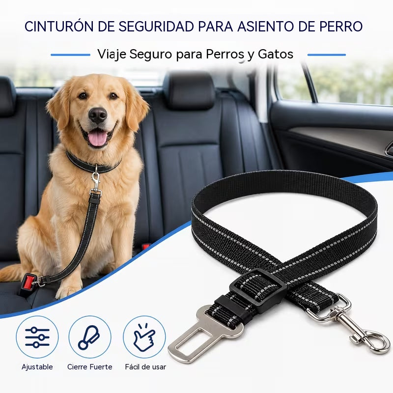 [2 juegos 24 euros] Collar y correa para perro (2 en 1)