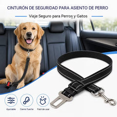 [2 juegos 24 euros] Collar y correa para perro (2 en 1)