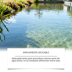 🛡️【Compra 2 y llévate 1 gratis】🔍Agente clarificador profesional: fórmula avanzada, no tóxica, elimina partículas finas y residuos orgánicos. Apto para estanques de koi, acuarios y jardines acuáticos. 🐟💚💦