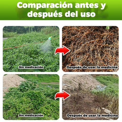 【5 bolsa】🔥 Herbicida 2 en 1 Alta Eficacia | Actúa en 6 Horas Elimina Malas Hierbas Resistentes al Glifosato