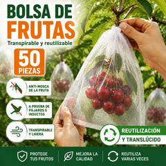 【50 piezas（30x20cm）】Red de insectos para moscas de frutas, red de protección de árboles de paisaje para pájaros, bolsas de red de jardín para proteger flores, plantas, frutas, verduras