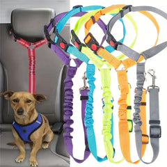 🔥Compre 1 y obtenga 1 gratis（2 piezas）🐾 Correa ajustable para perros para coche