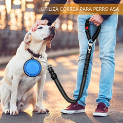 🐶🐕【2 pieza 26 euros】 Cinturón de seguridad para perros y correa para pasear (2 en 1)