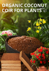 🔥🔥【3 piezas】Tierra nutritiva de ladrillos de coco - césped, jardín, jardinería