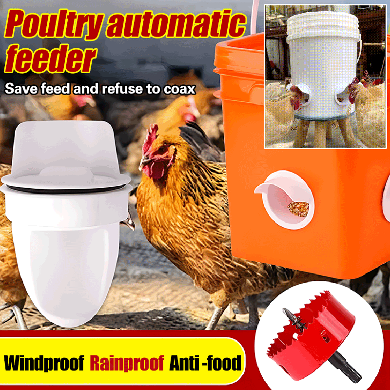 🐓【Puncher + 15 Comederos】Comedero automático para pollos, patos y gansos