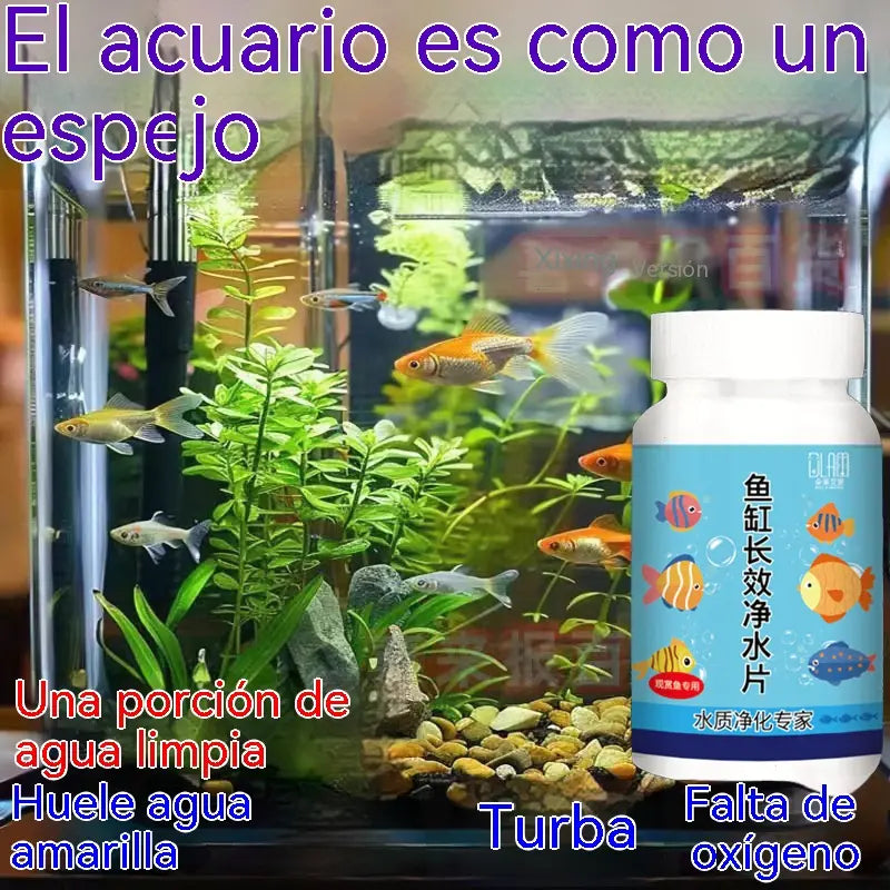 🔥Compra 1 y llévate 1 gratis (2 botellas-400 piezas)🐠🌿 Pastillas purificadoras de agua para acuario + pastillas oxigenadoras
