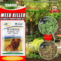 🔥👍🌱【Compre 1 y obtenga 2 gratis】Glifosato fosfato de amonio seco mata y previene todo tipo de malezas, trepadoras y enredaderas
