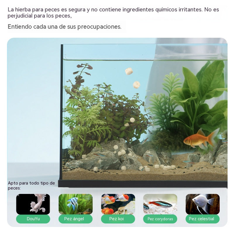 【Compra 1 y llévate 1 gratis】Eliminador de algas y musgo para acuarios, elimina algas verdes y marrones, y elimina algas negras y verdes de estanques de peces.