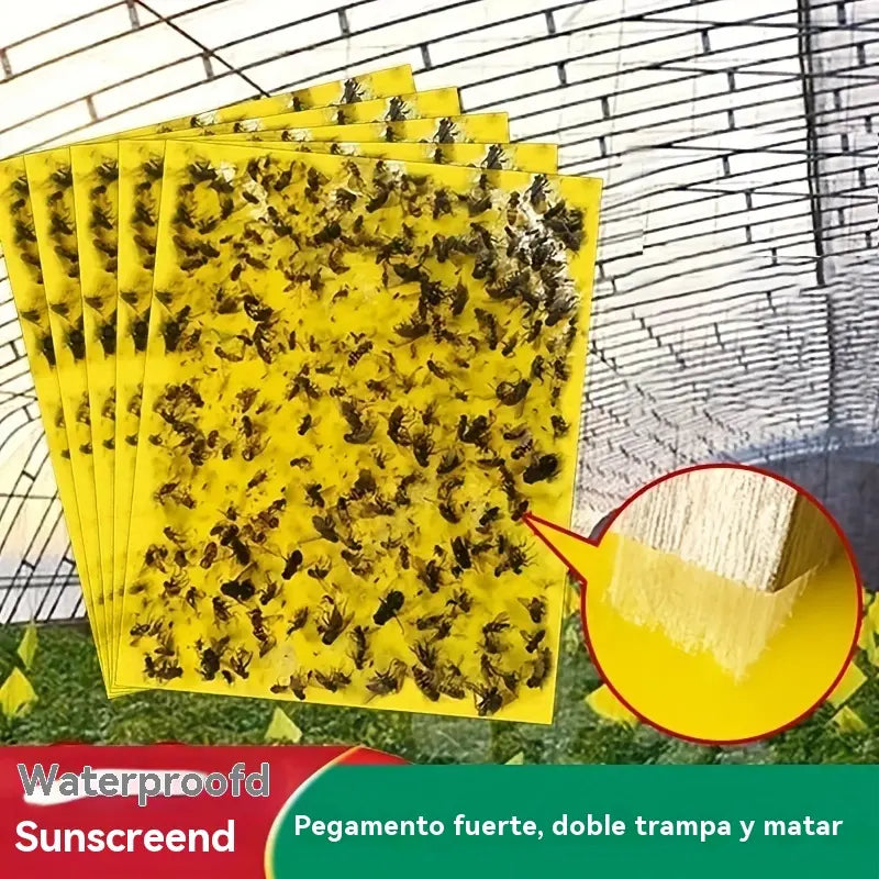 💥【30 Pcs】🦟Trampa de tablero adhesivo de doble cara para insectos