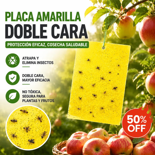 💥【30 piezas】Tablero adhesivo de insectos de doble cara amarillo