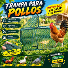 🐓🐦 red para jaulas de primavera para animales, red para atrapar pájaros, para capturar aves de corral