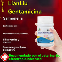🕊️【Compra 1 y llévate 1 gratis】100 comprimidos, medicamento especial para palomas mensajeras, tratamiento 6 en 1 para palomas: ¡curación rápida, resultados significativos!