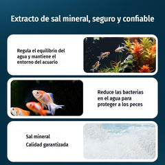 💦【Compre uno y obtenga uno gratis, 200 piezas en total.】🐠Tabletas para el control de algas en acuarios, plantas acuáticas y peces ornamentales; eliminador de algas; elimina el agua verde; previene el crecimiento de algas.