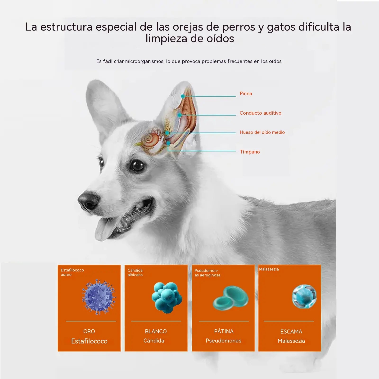 🐶🐱【60pcs】Toallitas para oídos y ojos de mascotas: Limpieza suave, prevención de malos olores y eliminación de ácaros y cerumen.