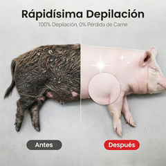 🧰【Pack de 5 piezas】Discos depiladores para cerdos que ahorran esfuerzo - ✅ Sin pérdida de carne ⚡️ Eliminan rápidamente el pelo de cerdos, vacas, ovejas y otros ganados